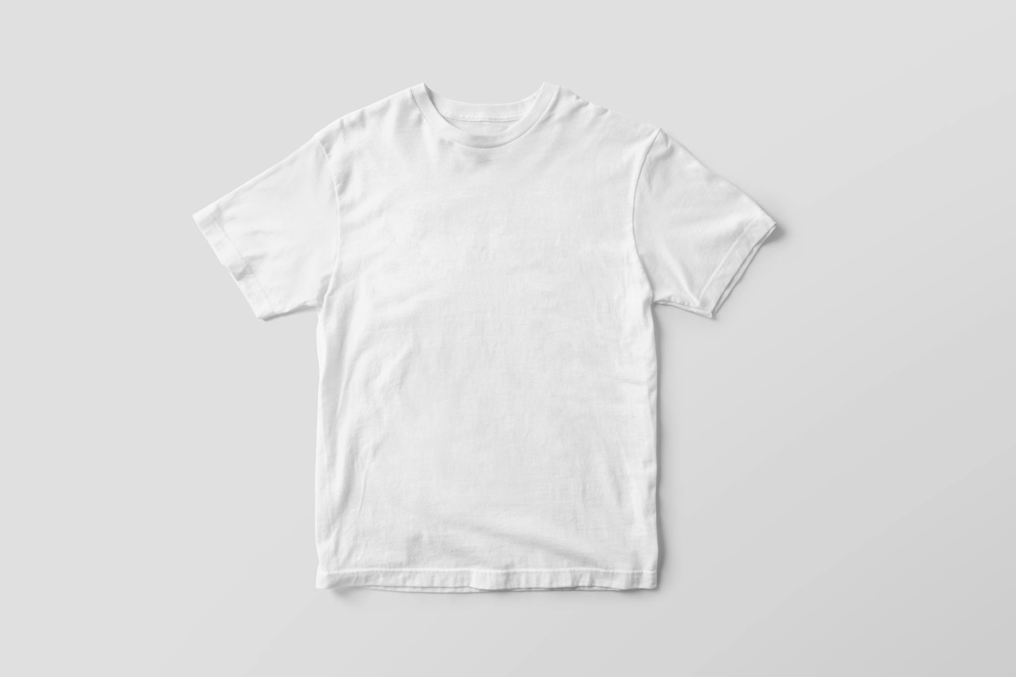Maximizing Your Blog’s Reach: SEO Tips for Bloggers Simple White T Shirt Mockup On A Plain